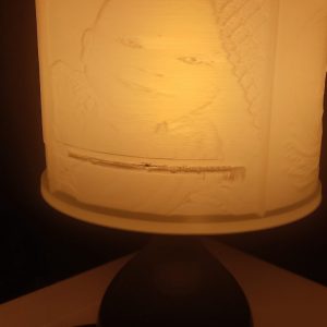 Lithophane Lampshade - tjs-lampshades.co.uk